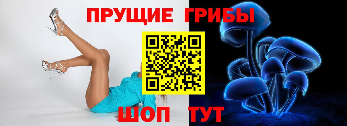 Псилоцибиновые грибы Magic Shrooms  Псилоцибиновые грибы MAGIC MUSHROOMS  Лениногорск  Вход с VPN 